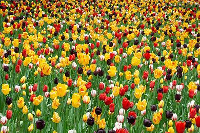 《剑星》总监就版本更新内容致歉玩家 团队正积极解决